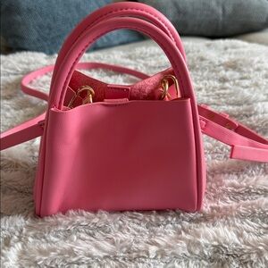 Anthropologie mini pink bag